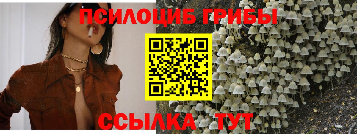 купить  сайты  Вход с VPN  Галлюциногенные грибы MAGIC MUSHROOMS  Феодосия  Галлюциногенные грибы GOLDEN TEACHER 